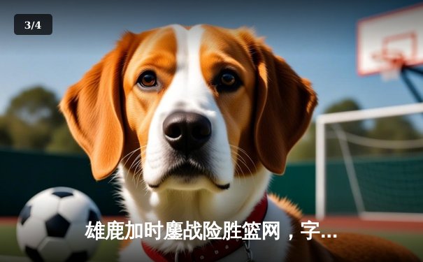雄鹿加时鏖战险胜篮网，字母哥44分14篮板制霸内线 - 3