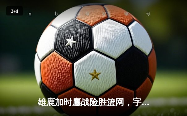 雄鹿加时鏖战险胜篮网，字母哥44分主宰关键时刻 - 3